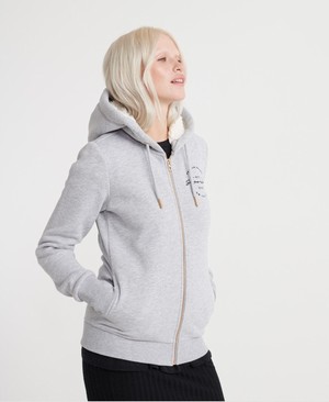 Superdry Applique zip Női Kapucnis Pulóver Szürke | DMSZT4583